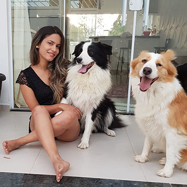 Quanto custa um Border Collie?