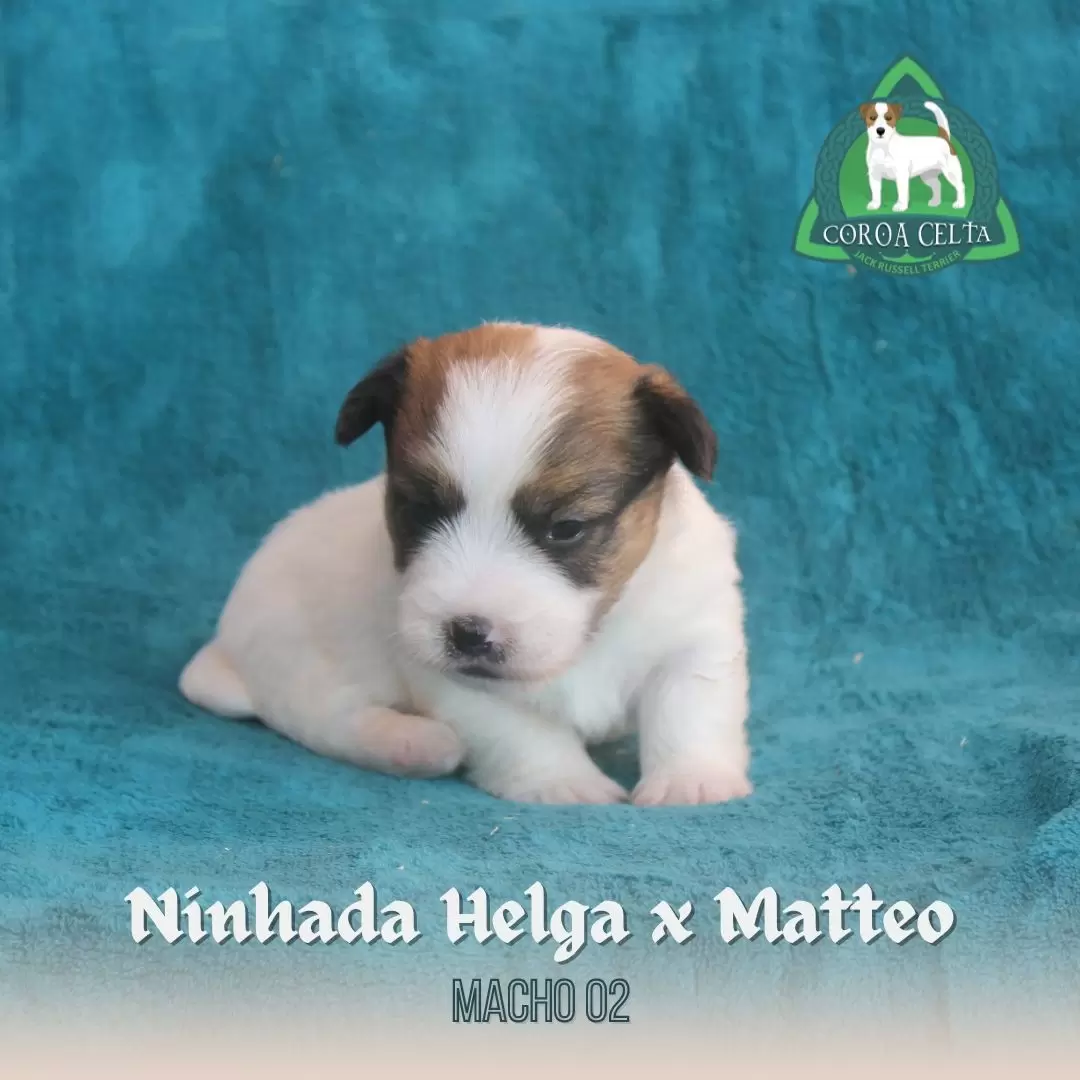 Macho 2 - Helga x Matteo