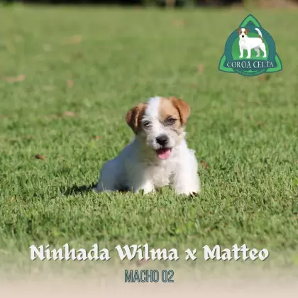 Macho 2 - Wilma x Matteo