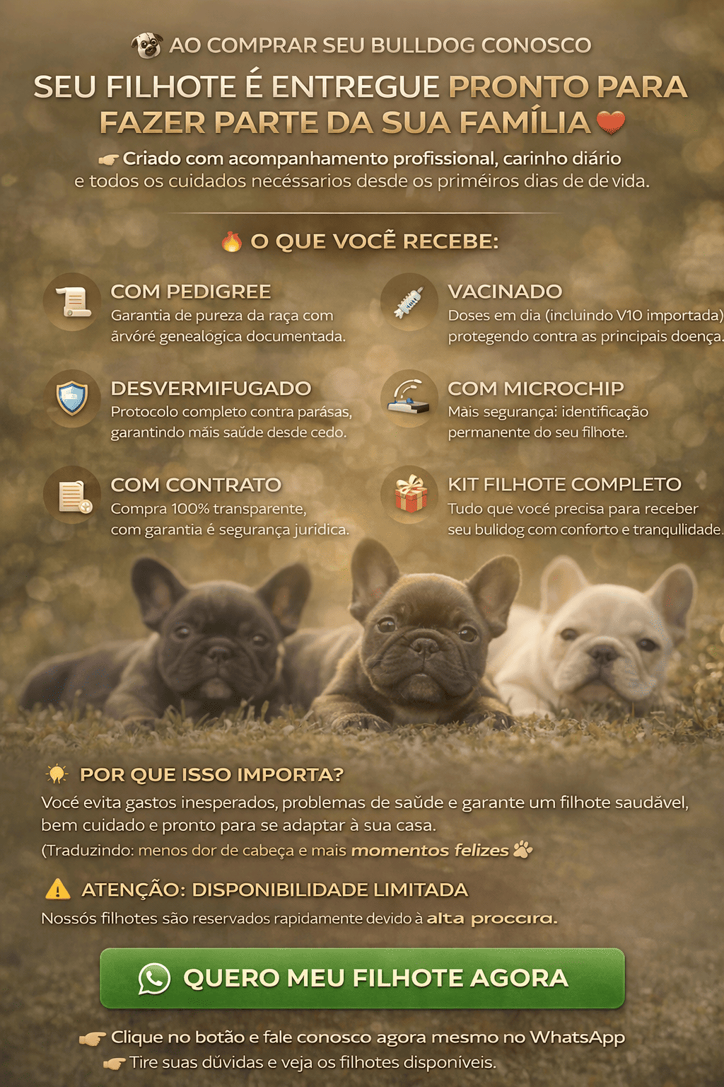 Banner Lar dos Bulldogs