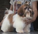Francisca