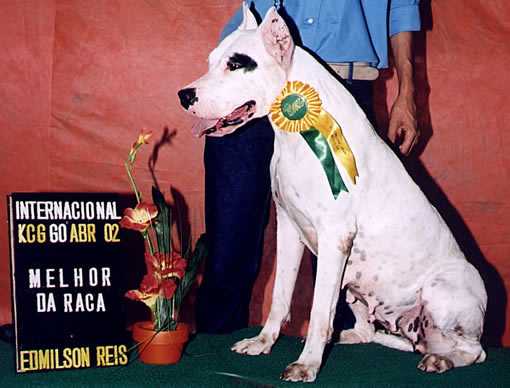 La Rosa de La Sierra