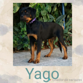 Yago 