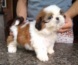 Nala