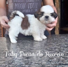 Faby