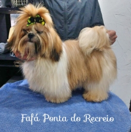 Fafá
