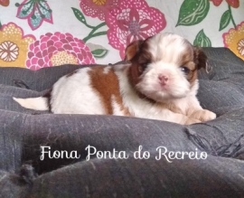 Fiona
