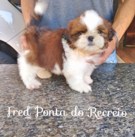 Fred