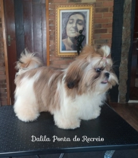 Dalila