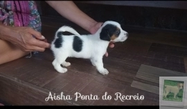 AISHA PONTA DO RECREIO