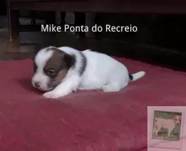 MIKE PONTA DO RECREIO