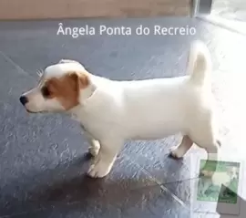 ANGELA PONTA DO RECREIO
