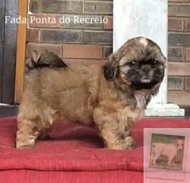 Fada