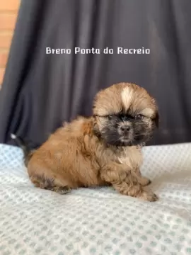 Breno