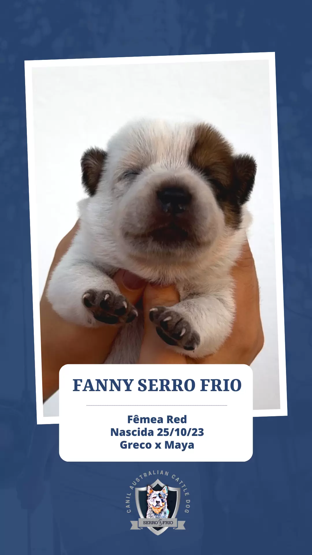 Fanny Serro Frio Heelers