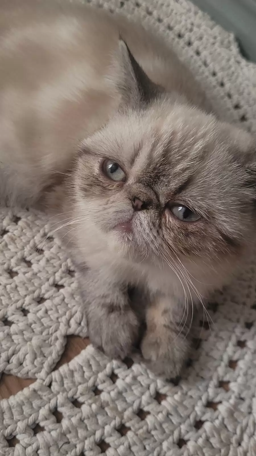 Mel