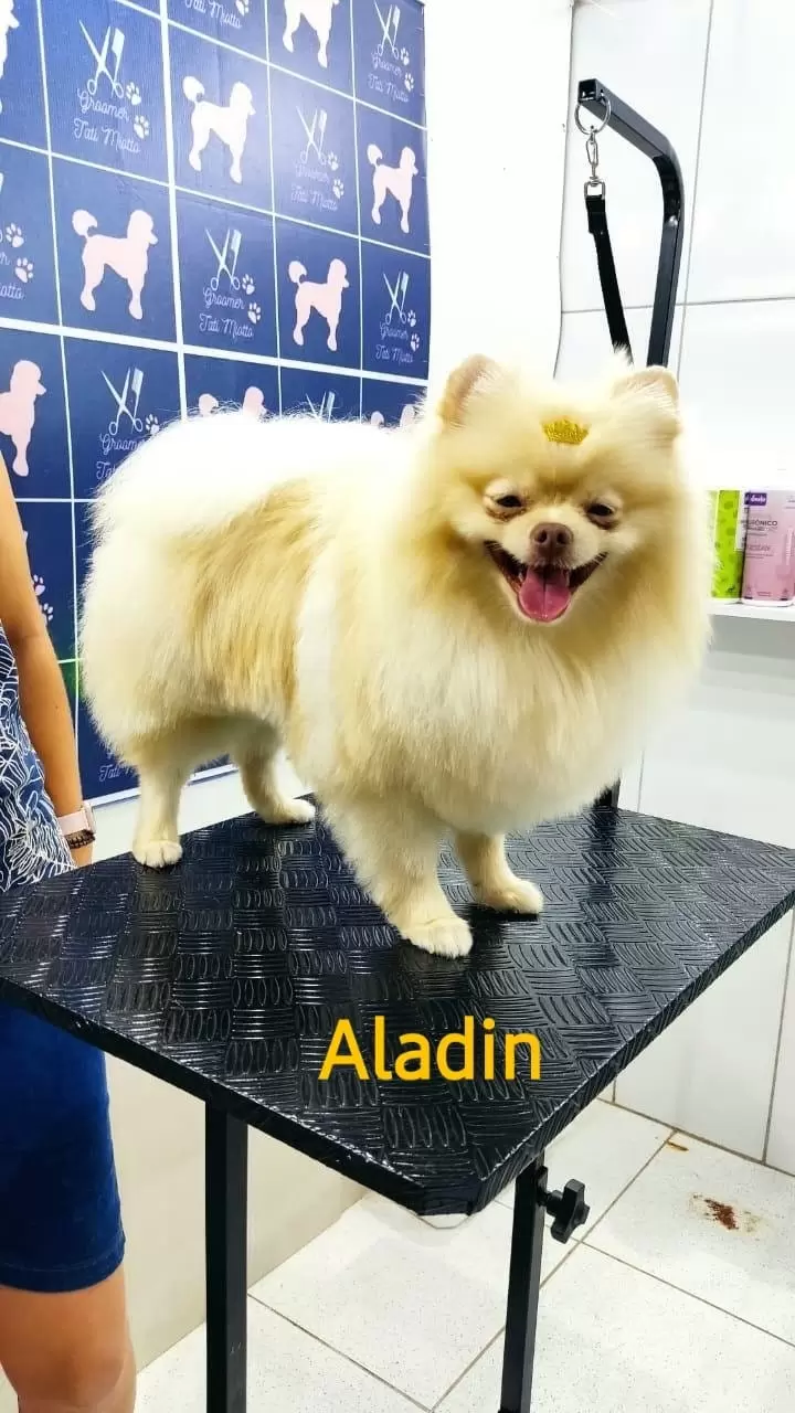 ALADIM