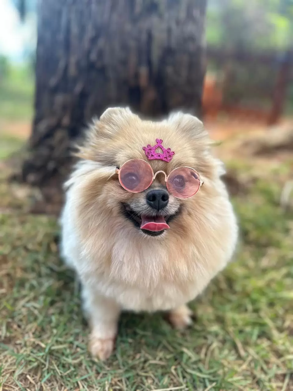 Rubi
