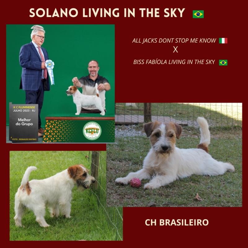 SOLANO