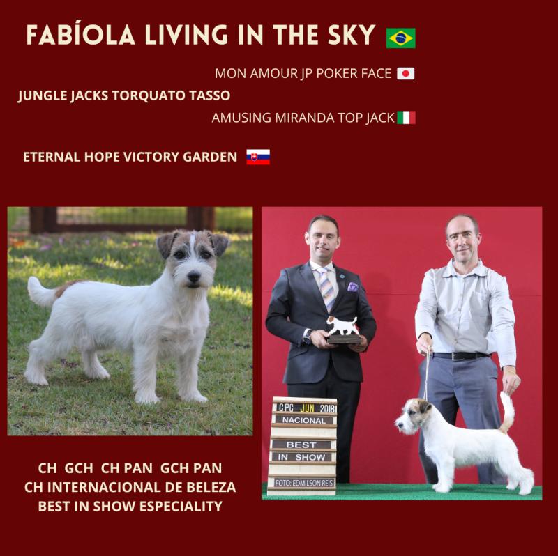 FABÍOLA