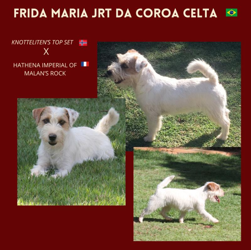 FRIDA