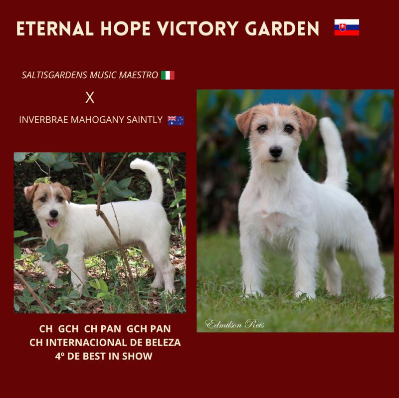HOPE