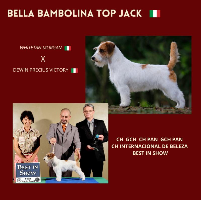 BELLA