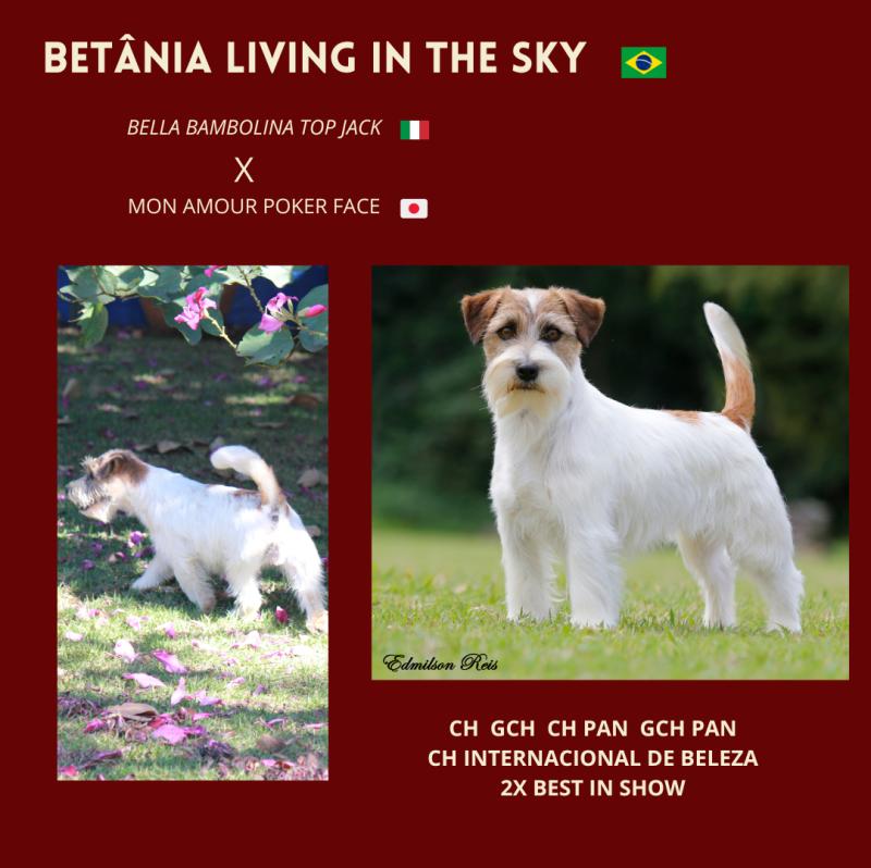 BETÂNIA