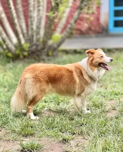 Chloe 