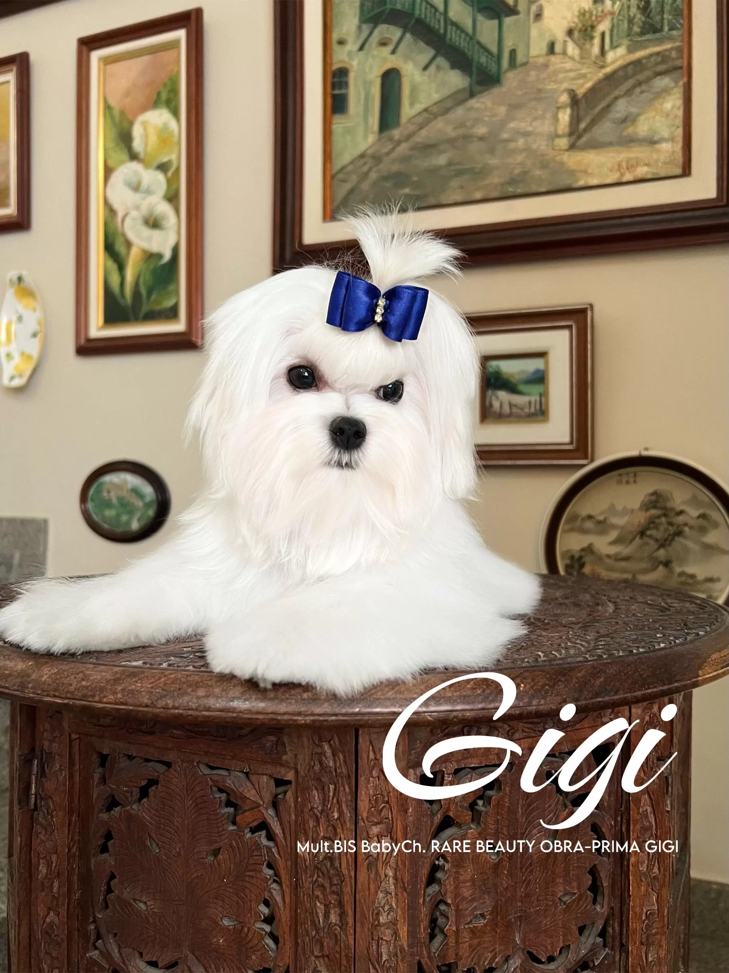 Gigi