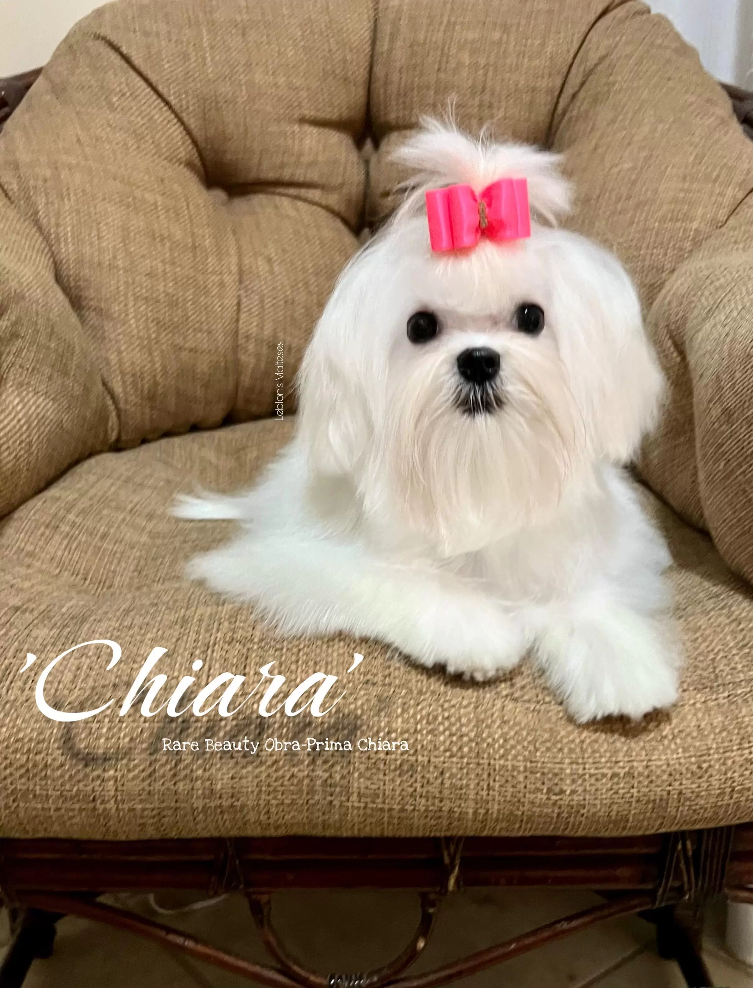 CHIARA