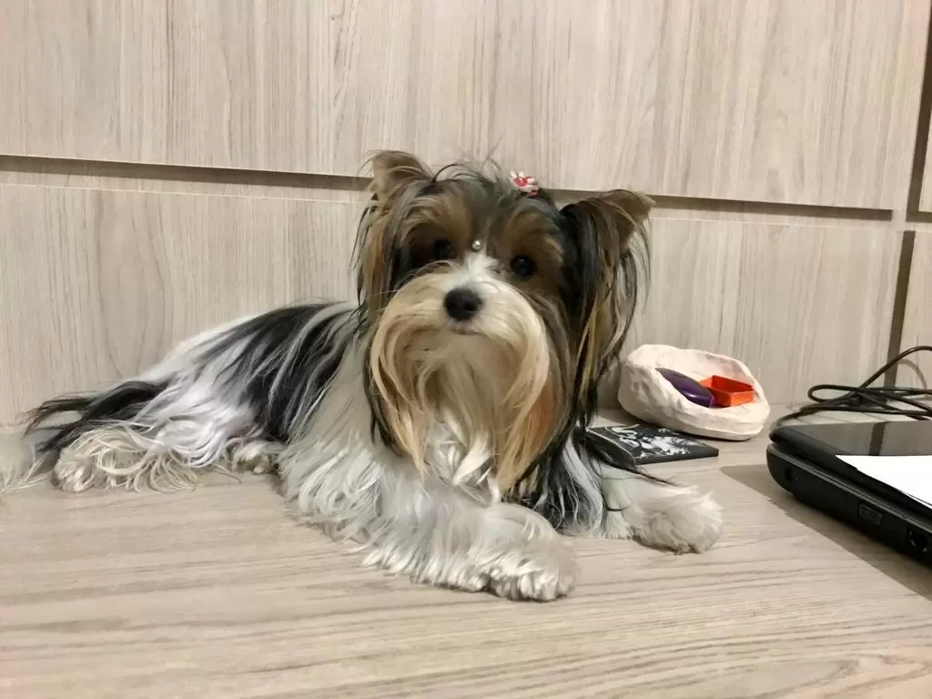 Nina 