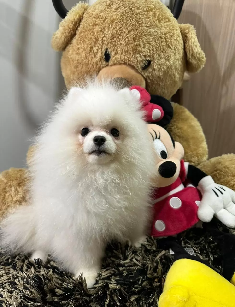 Zoe
