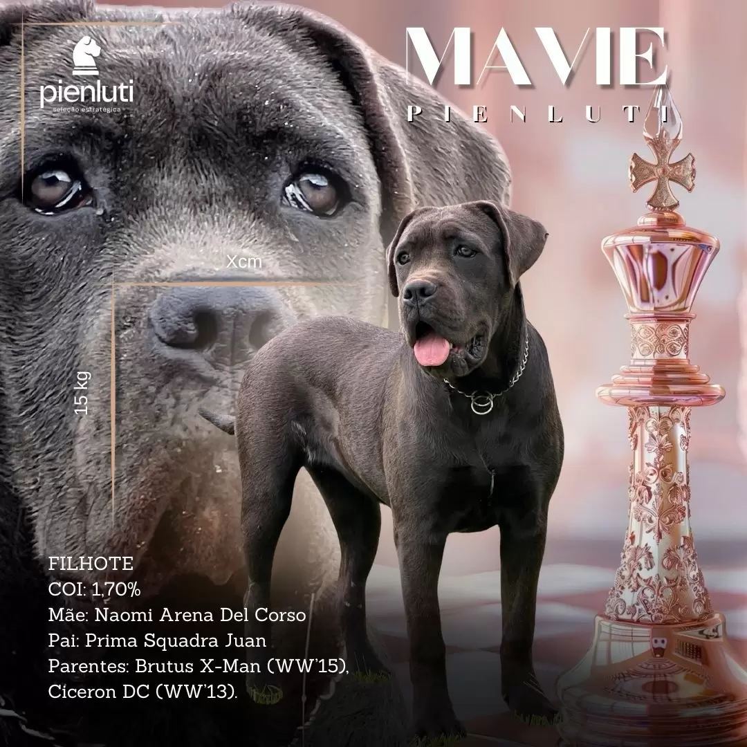 Mavie