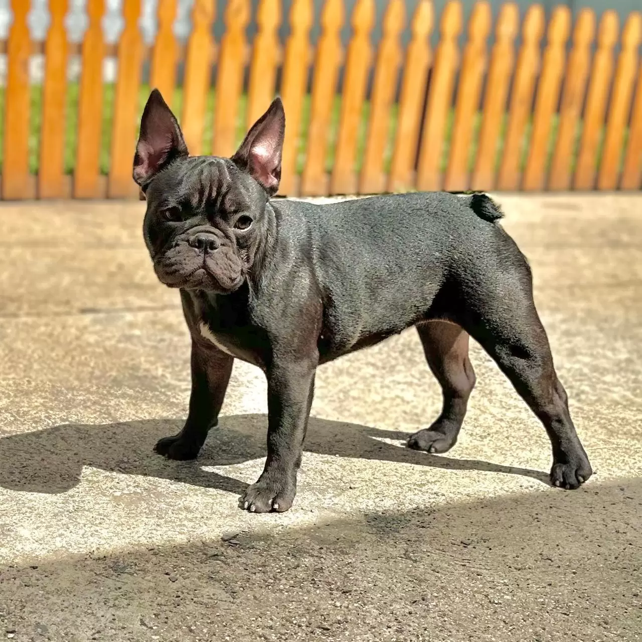 Chloe