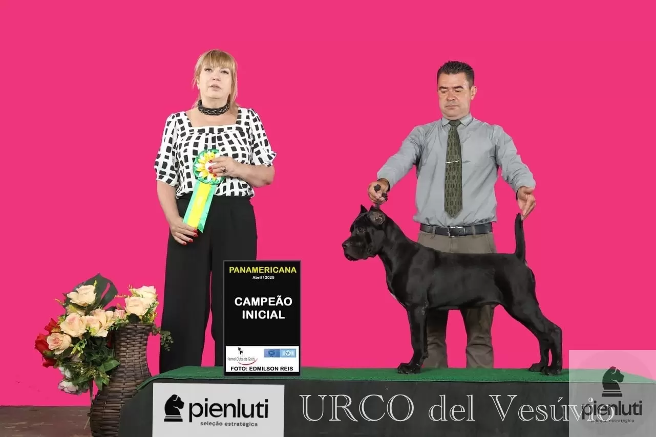 Urco Del Vesúvio