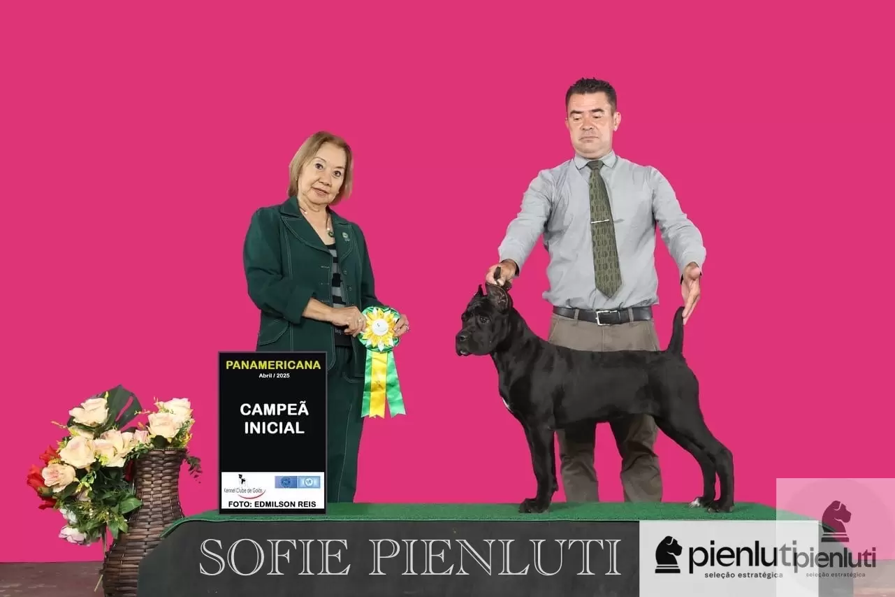 Sofie