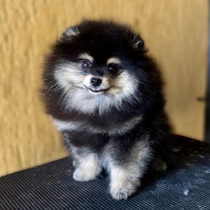 Billy