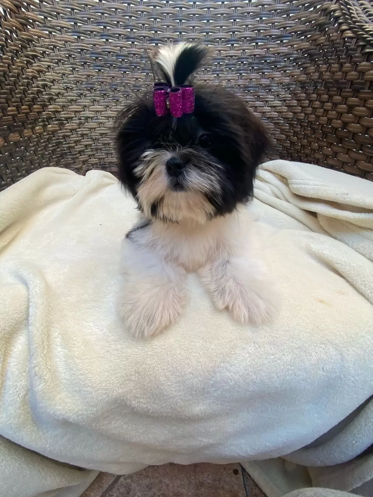 Lilica baby flor