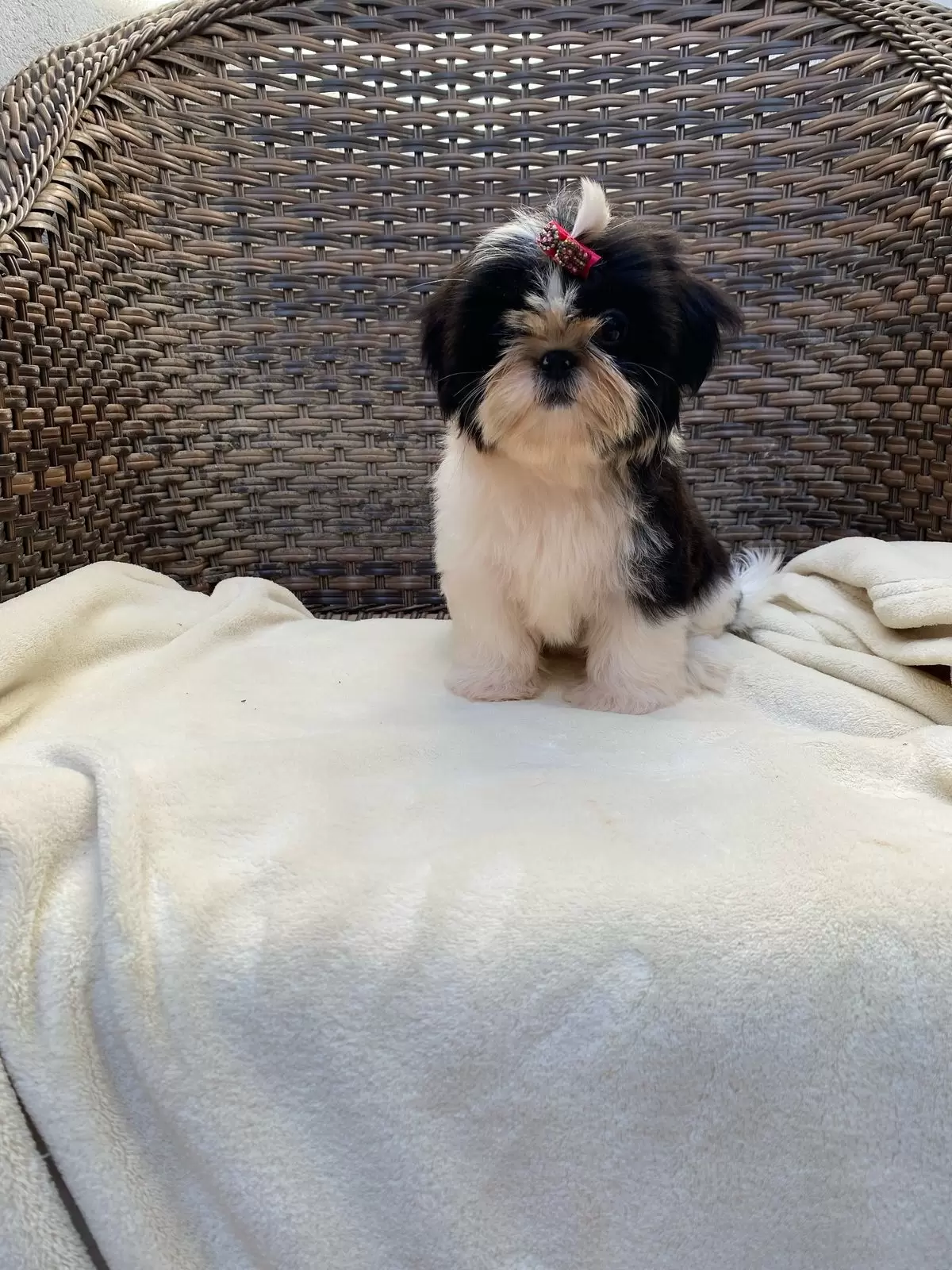 Scarlett baby 1