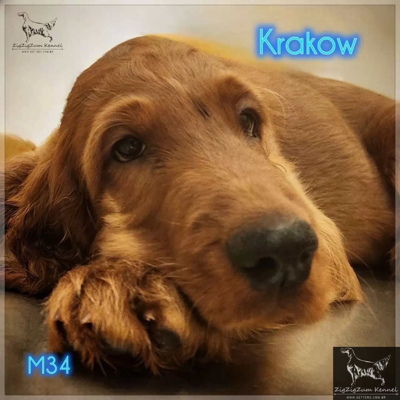 Kraków 
