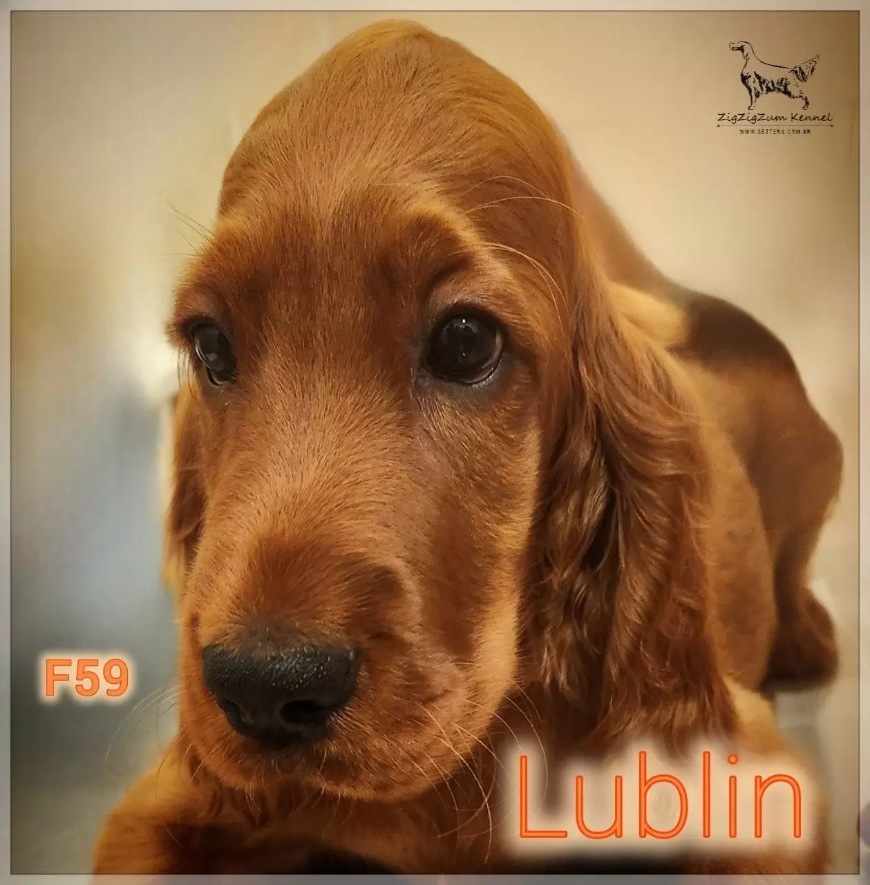 Lublin 