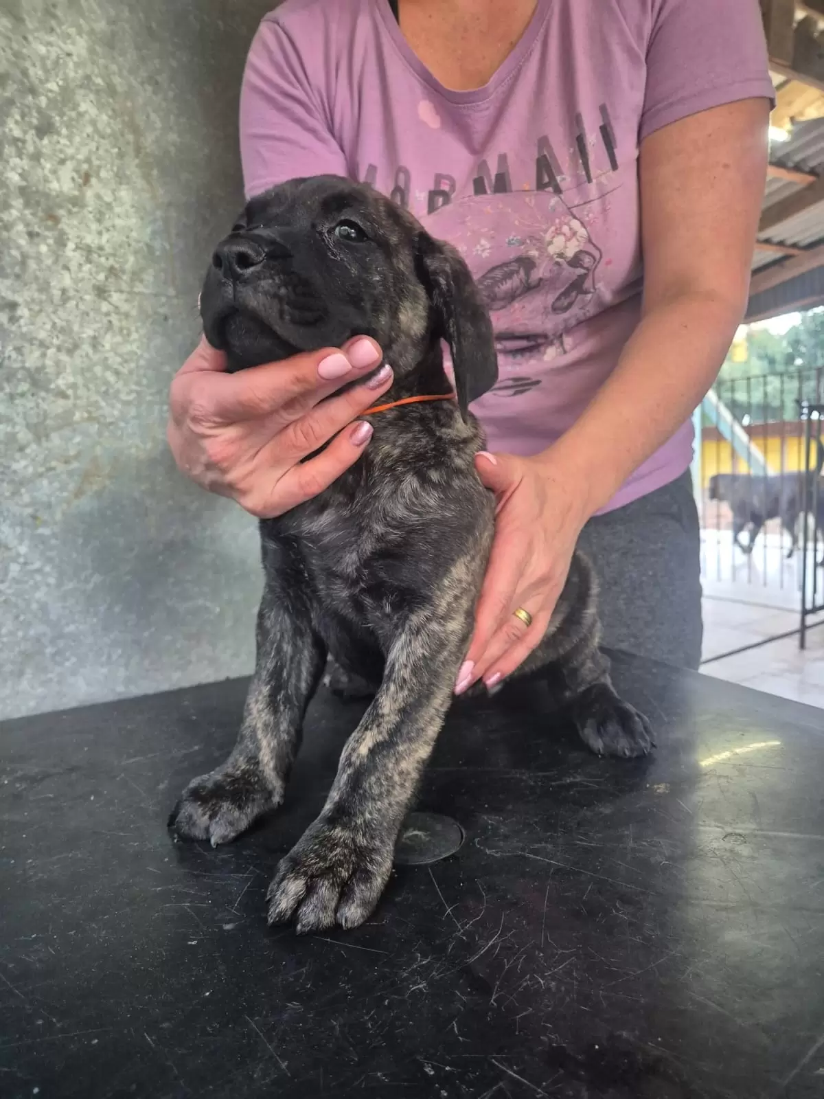 Nala