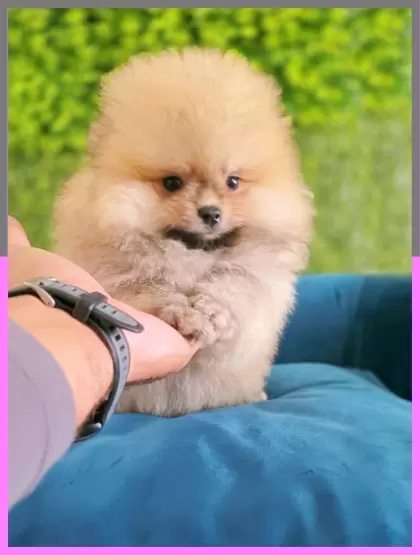 Kiska