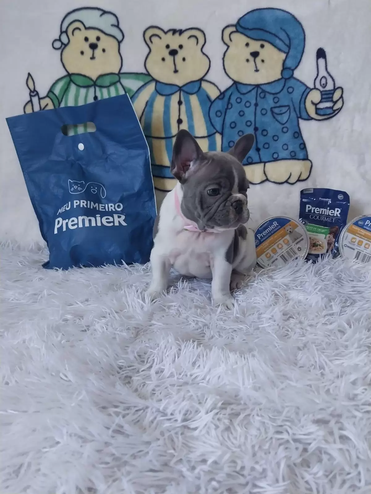 Fêmea 1