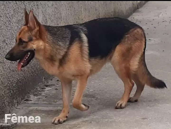 Kiara
