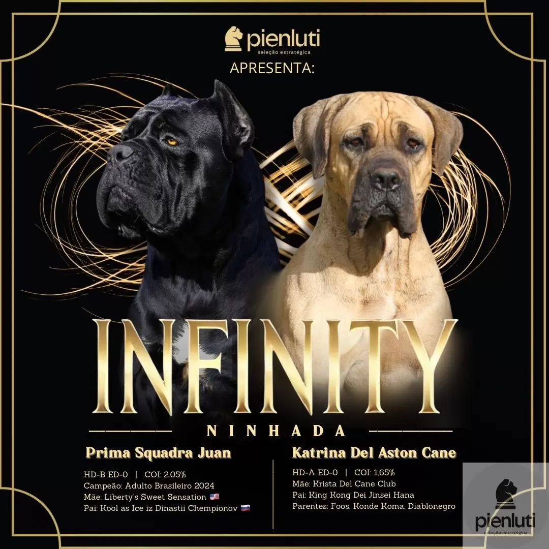 Ícaro Pienluti - Macho Preto