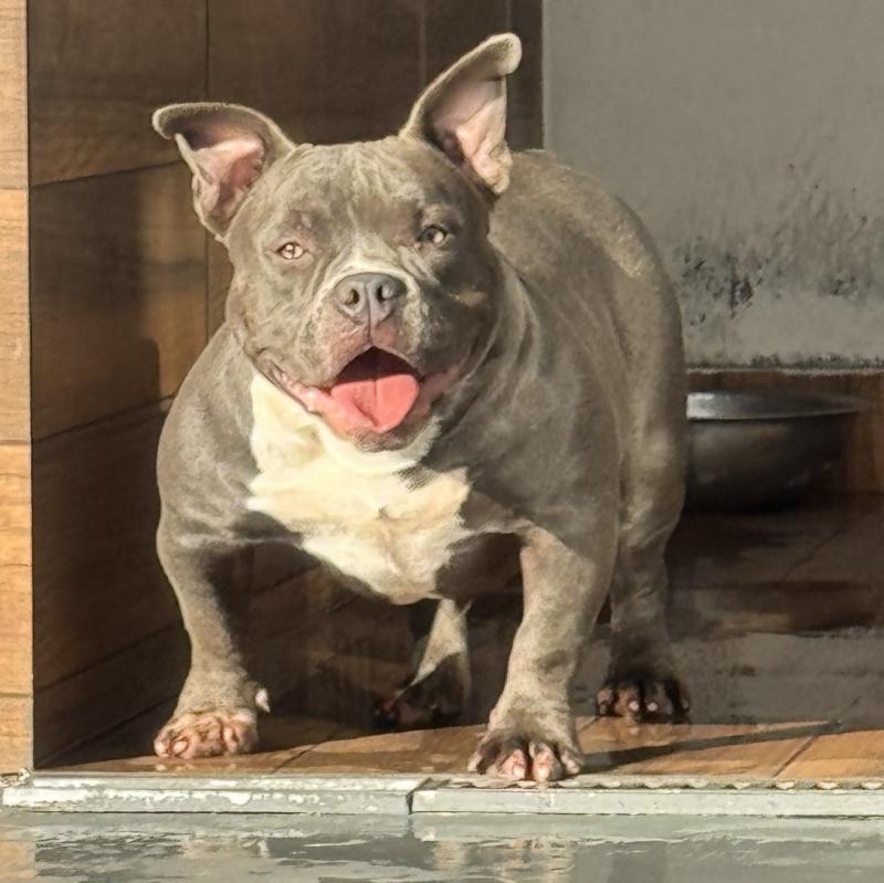 Luma