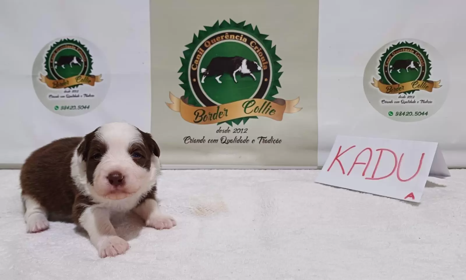 Kadu