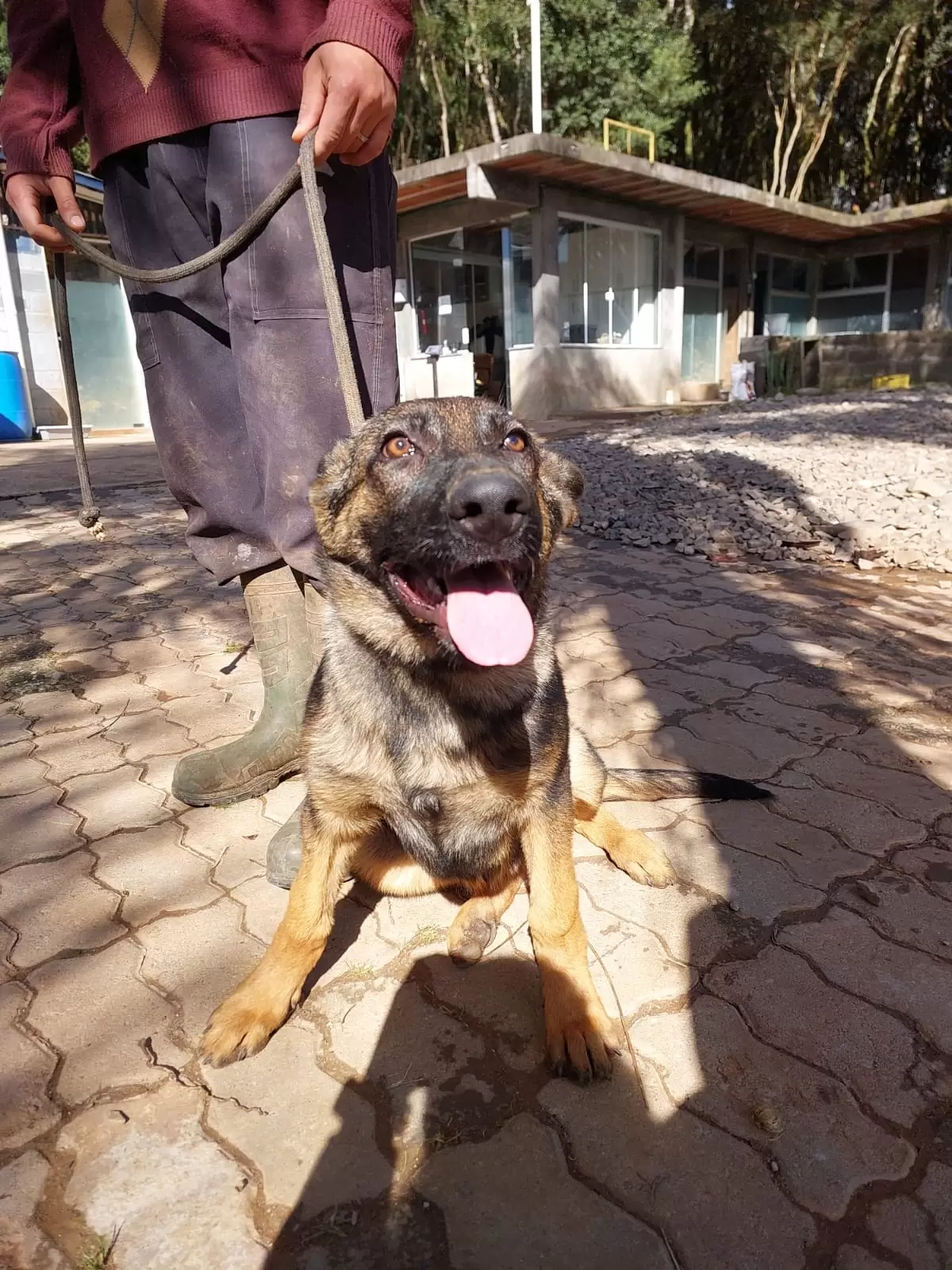 Cleo